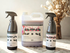 Pack de Limpieza para Suelos y Comedores – Limpieza y Frescura Profesional